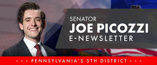 Senator Picozzi E-Newsletter