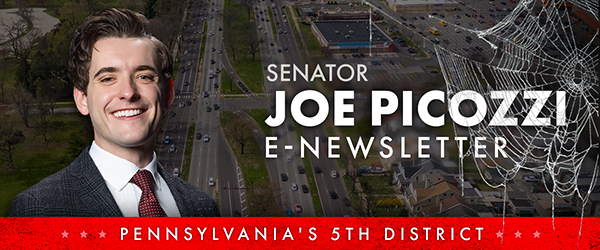 Senator Picozzi E-Newsletter